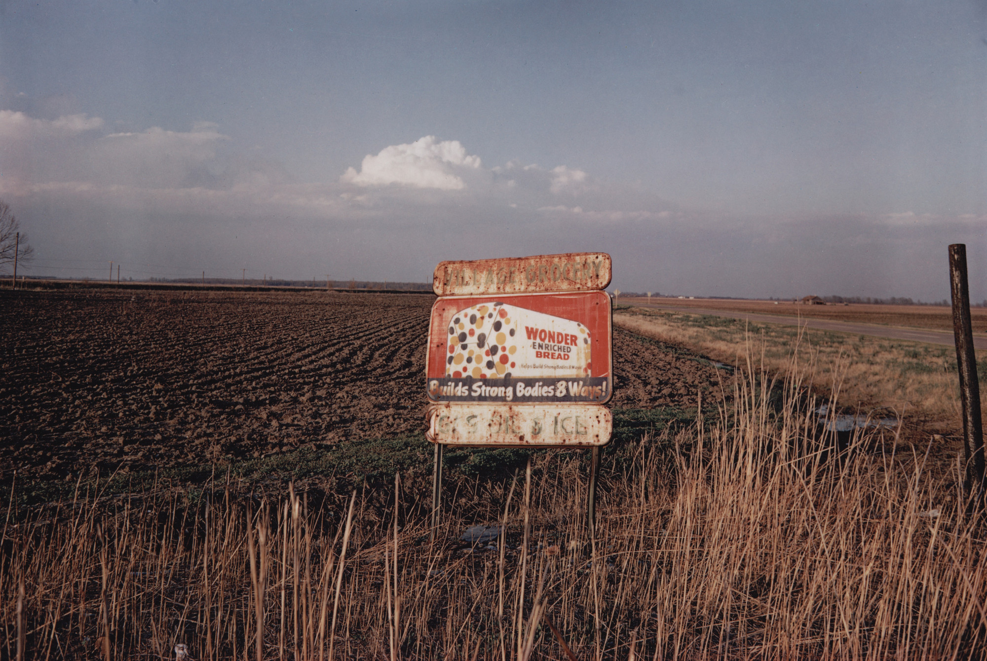 William Eggleston. Near Rome, Mississippi
