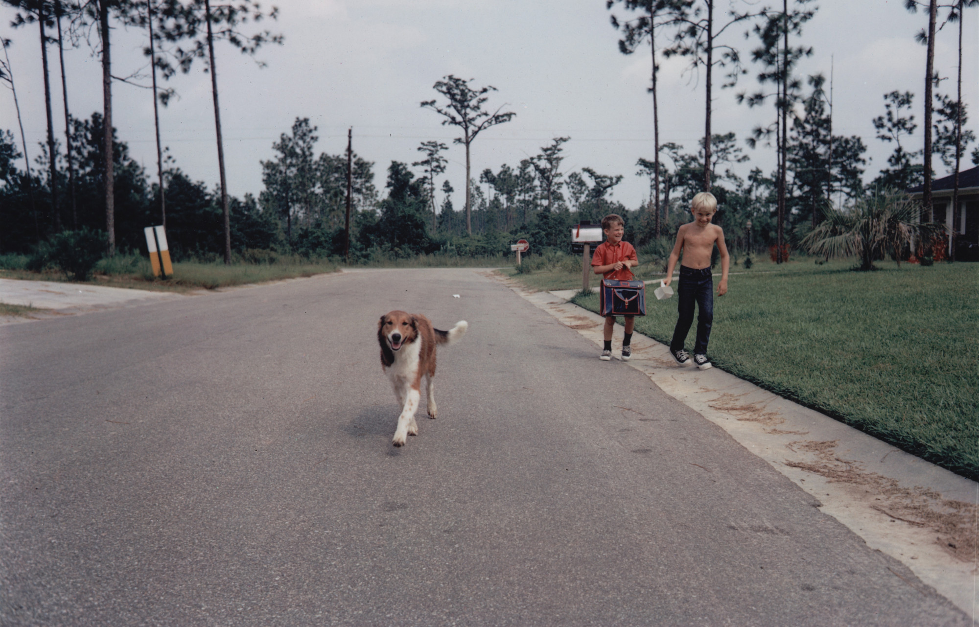 William Eggleston. Gulfport, Mississippi. c. 1969-70 | MoMA