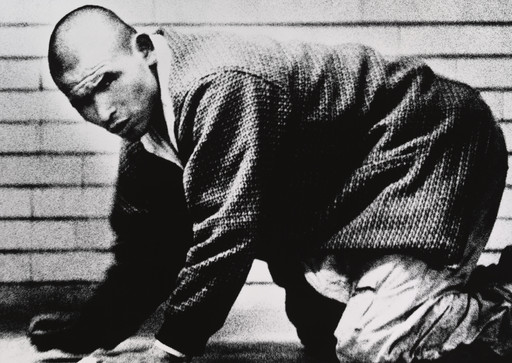 Stray Dog, Misawa | MoMA