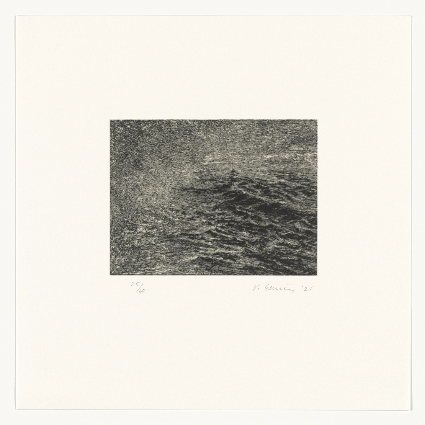 Vija Celmins. Fragment from the portfolio The Met 150. 2021