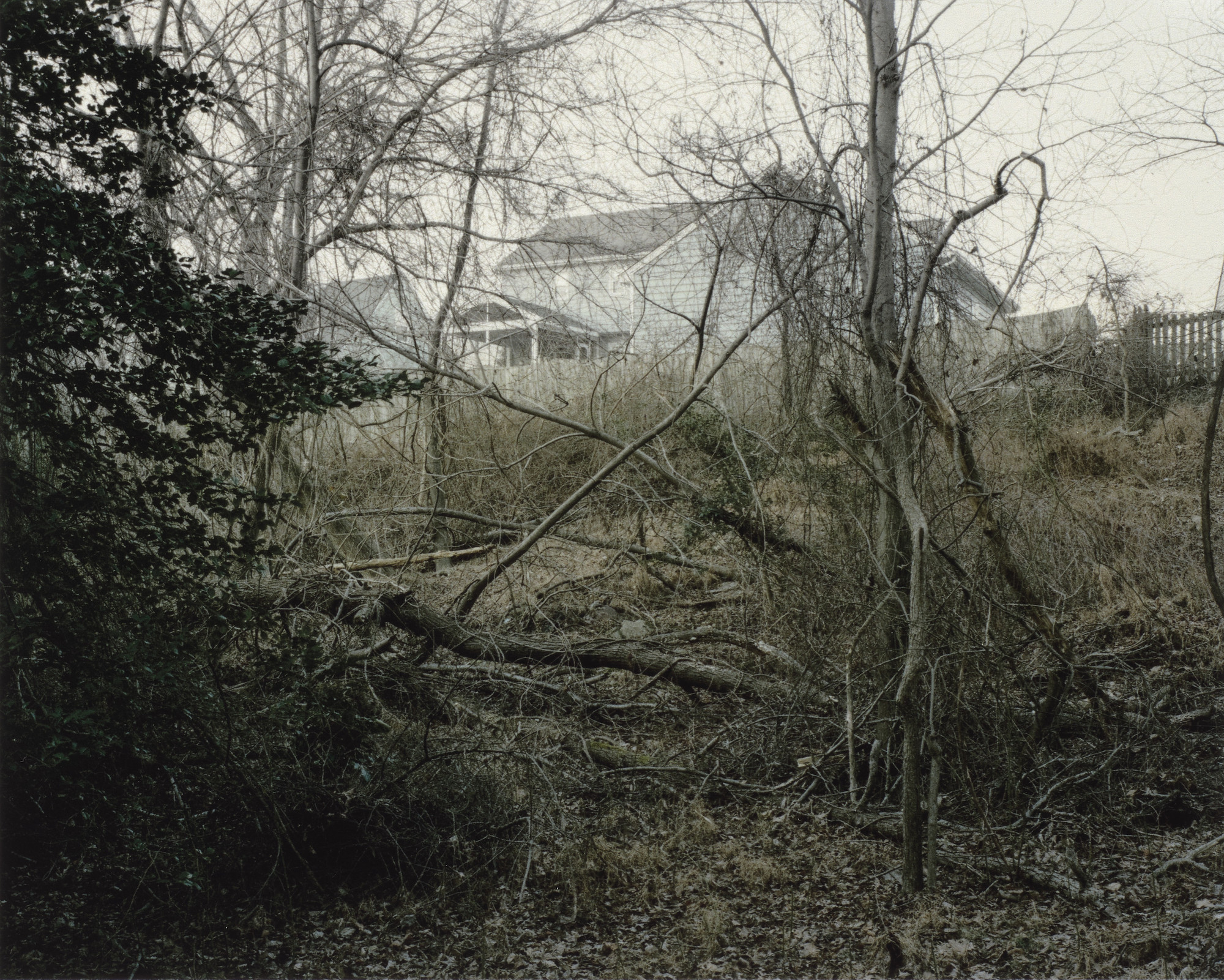 Stanley Wolukau-Wanambwa. Swift Creek from the portfolio Our Present Invention