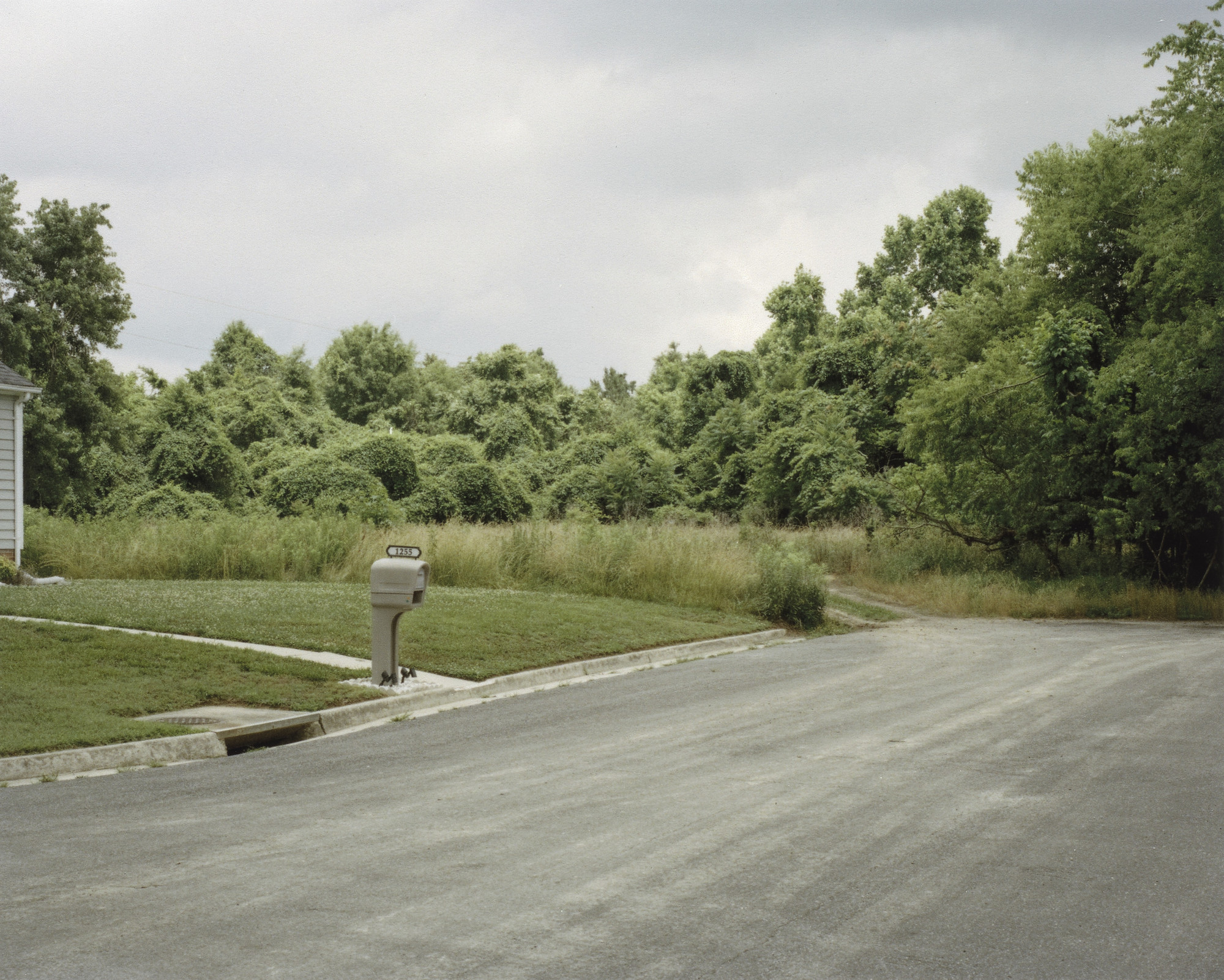 Stanley Wolukau-Wanambwa. Briarcliffe Court from the portfolio Our Present Invention