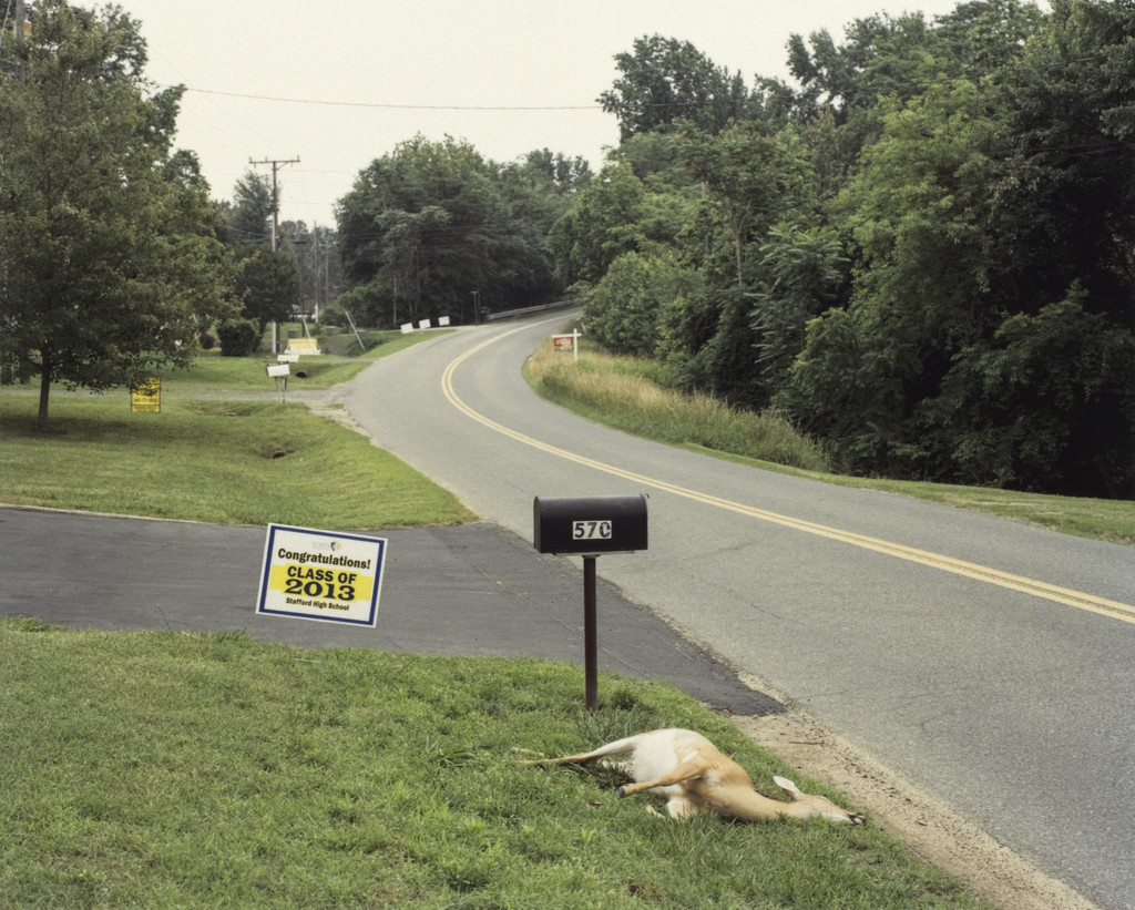 Class of 2013 from the portfolio Our Present Invention