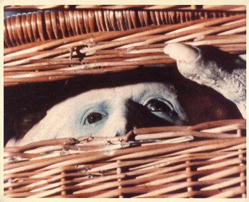 Frank Henenlotter. Basket Case. 1982