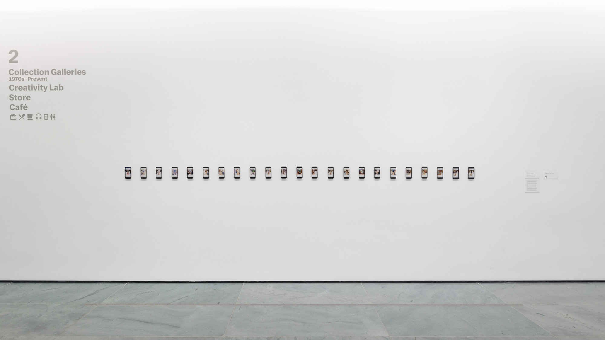 Carolyn Lazard. In Sickness and Study. 2015-ongoing