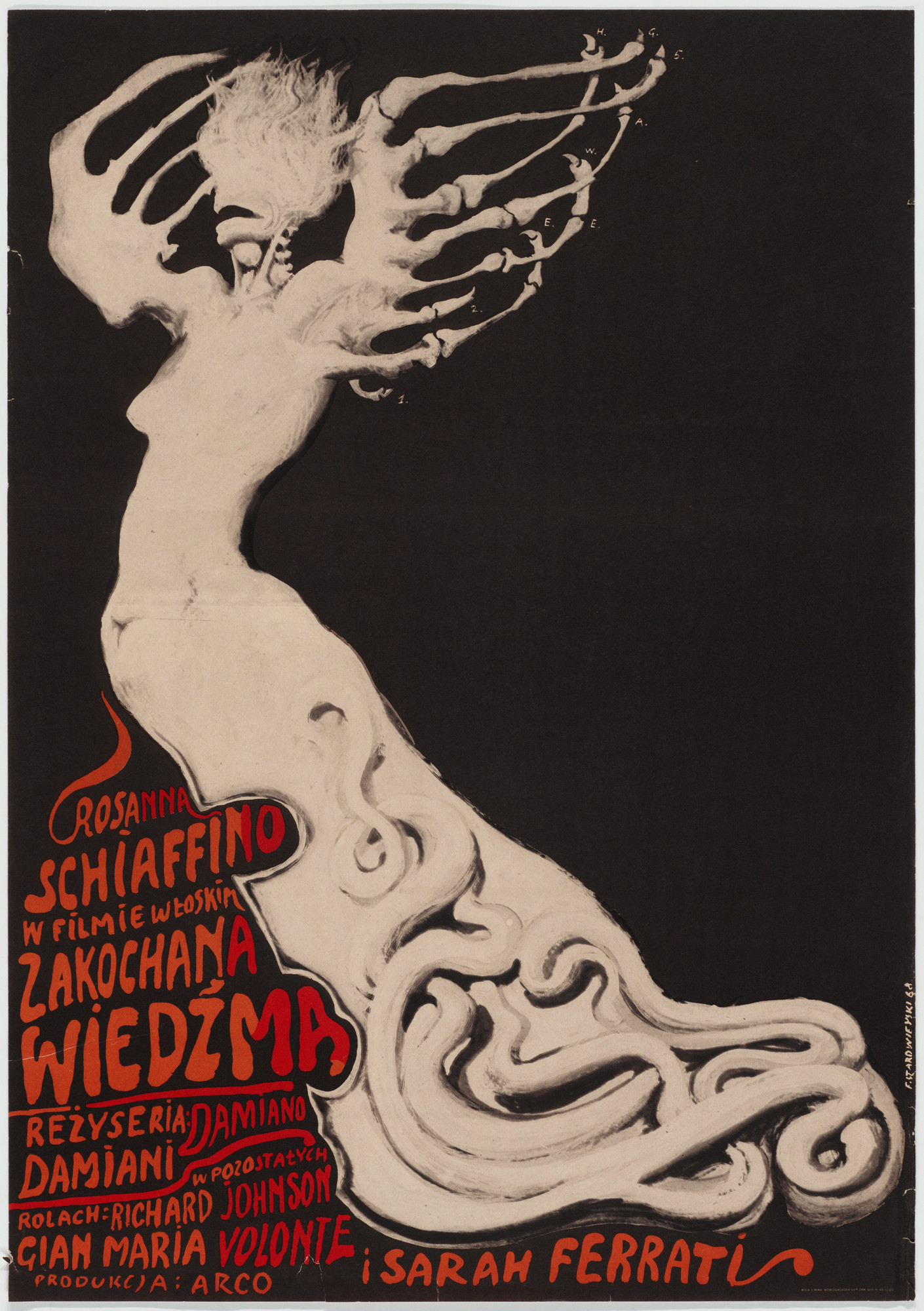 Franciszek Starowieyski | MoMA