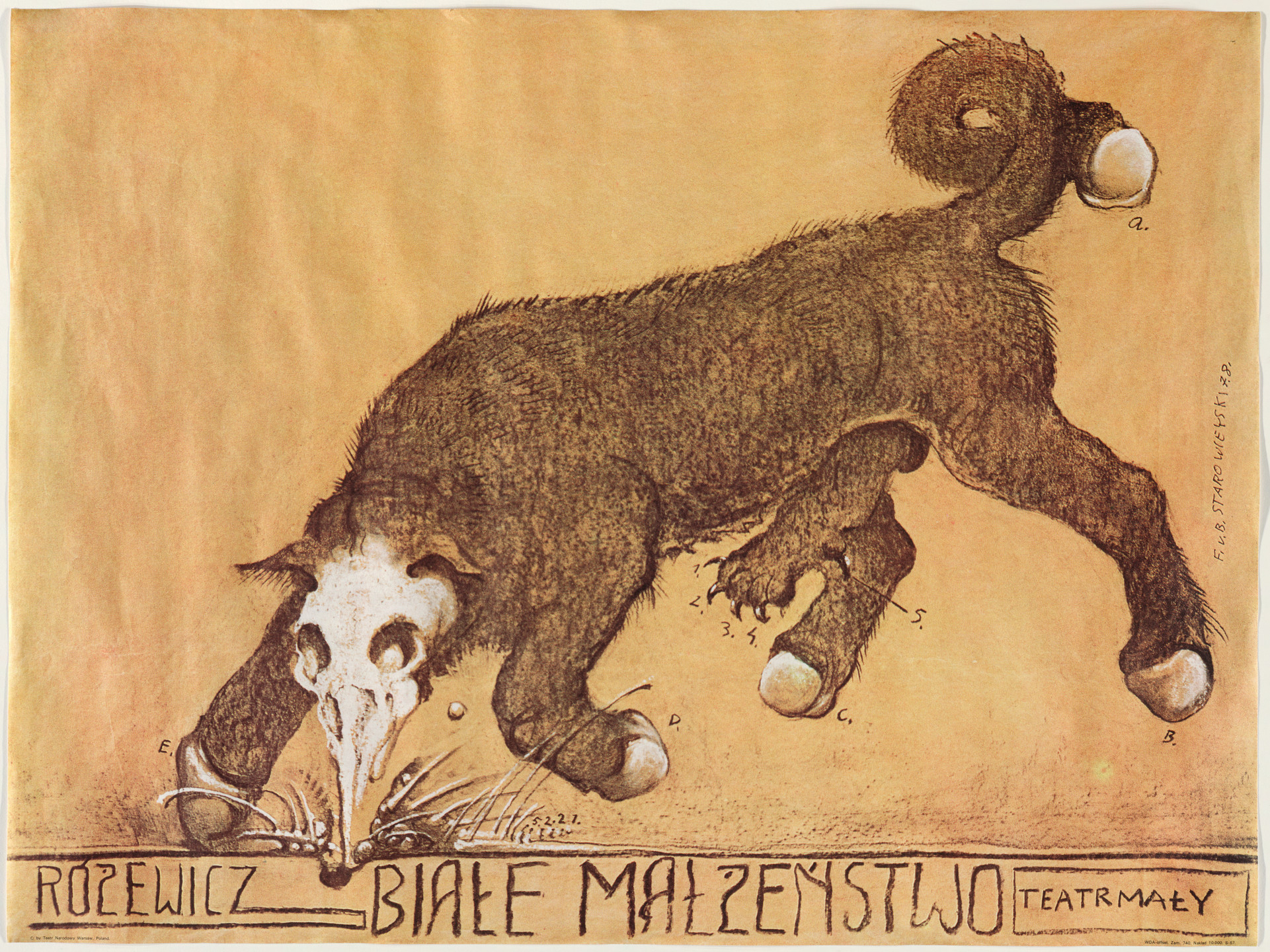 Franciszek Starowieyski. Białe Małżeństwo. 1978