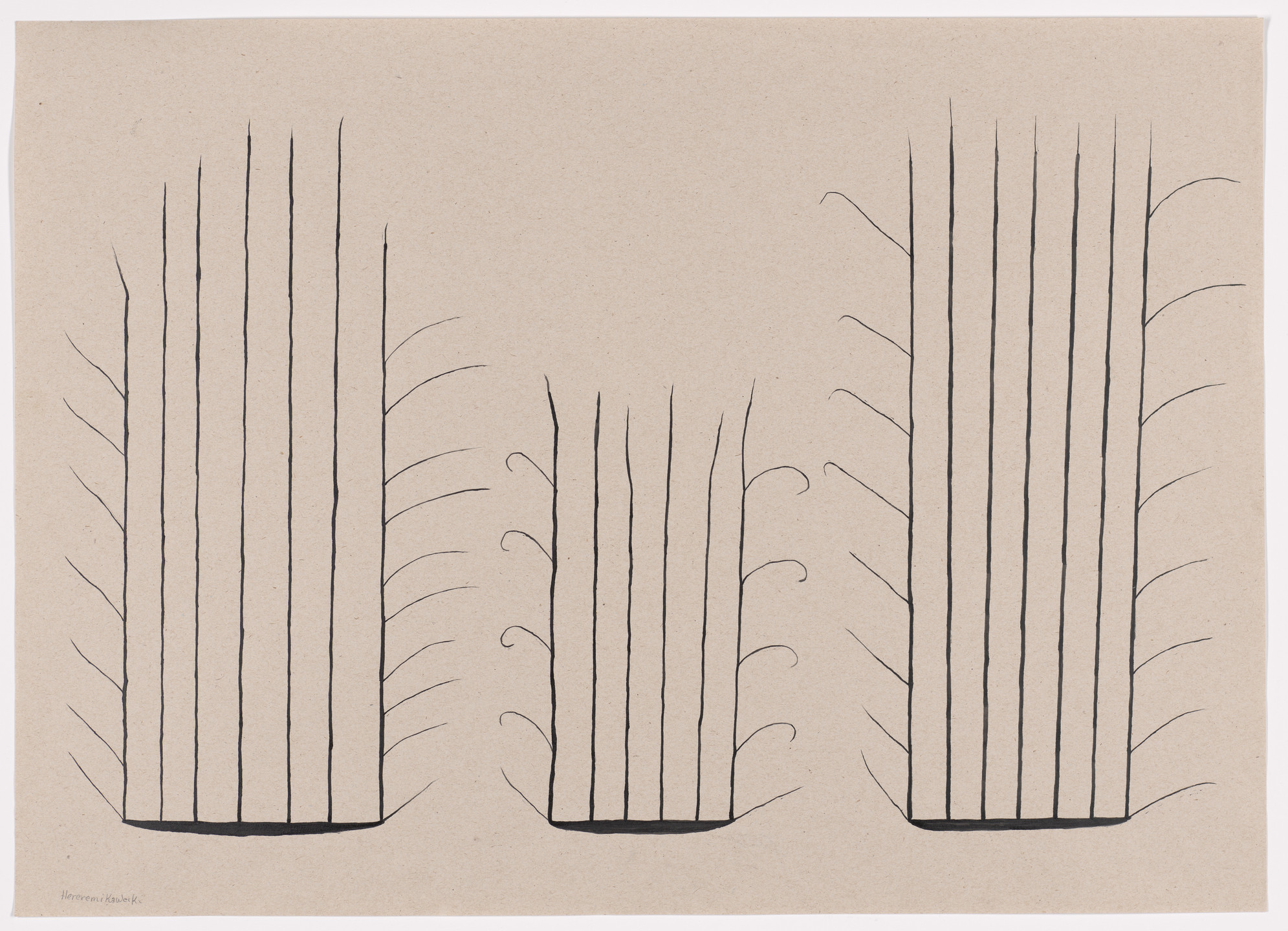 Sheroanawe Hakihiiwe. Beard of an Insect (Hereremi kaweiki). 2019
