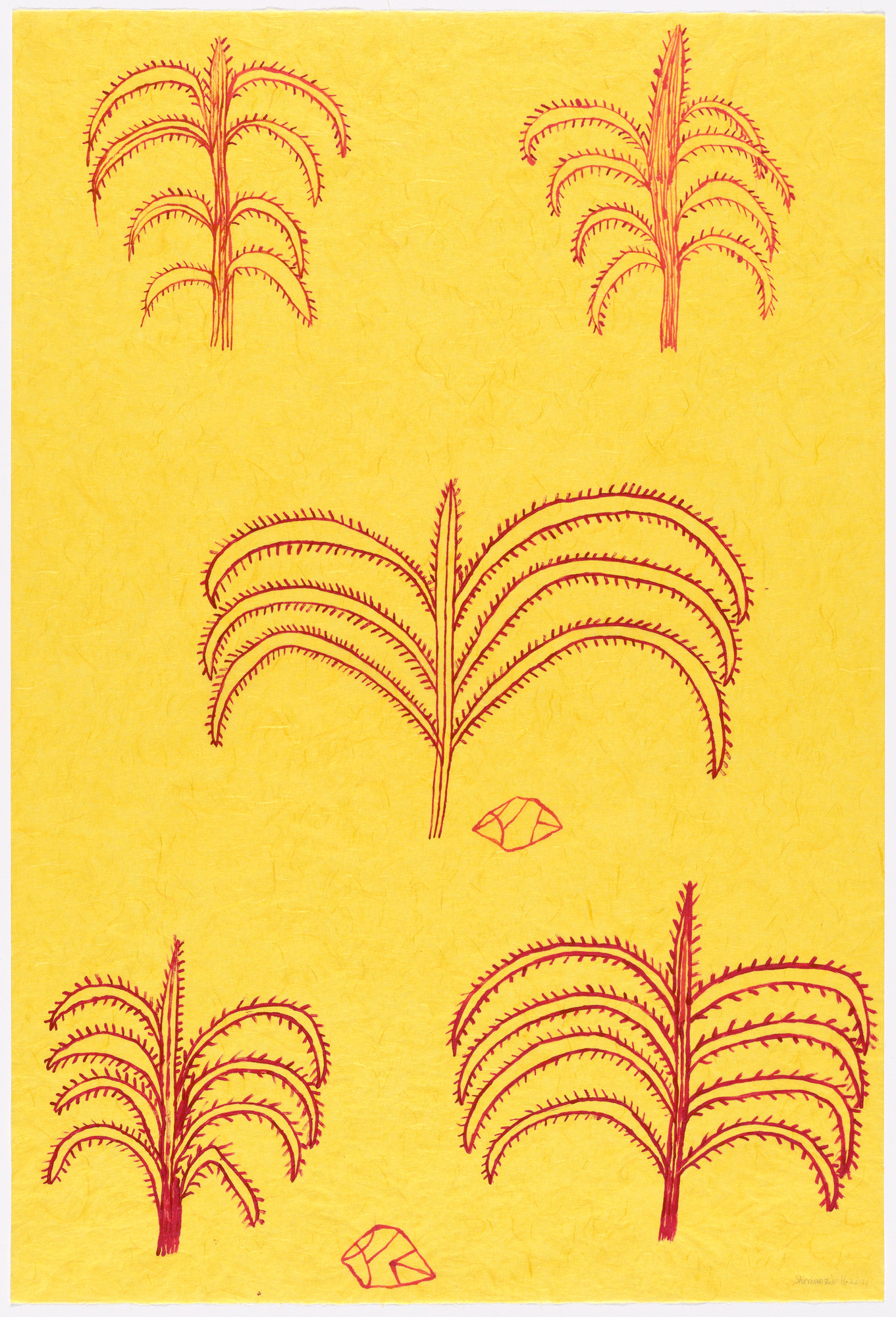 洋書 Brush With Gondwana 洋書 Brush With Gondwana Brush with Gondwana: The Botanical