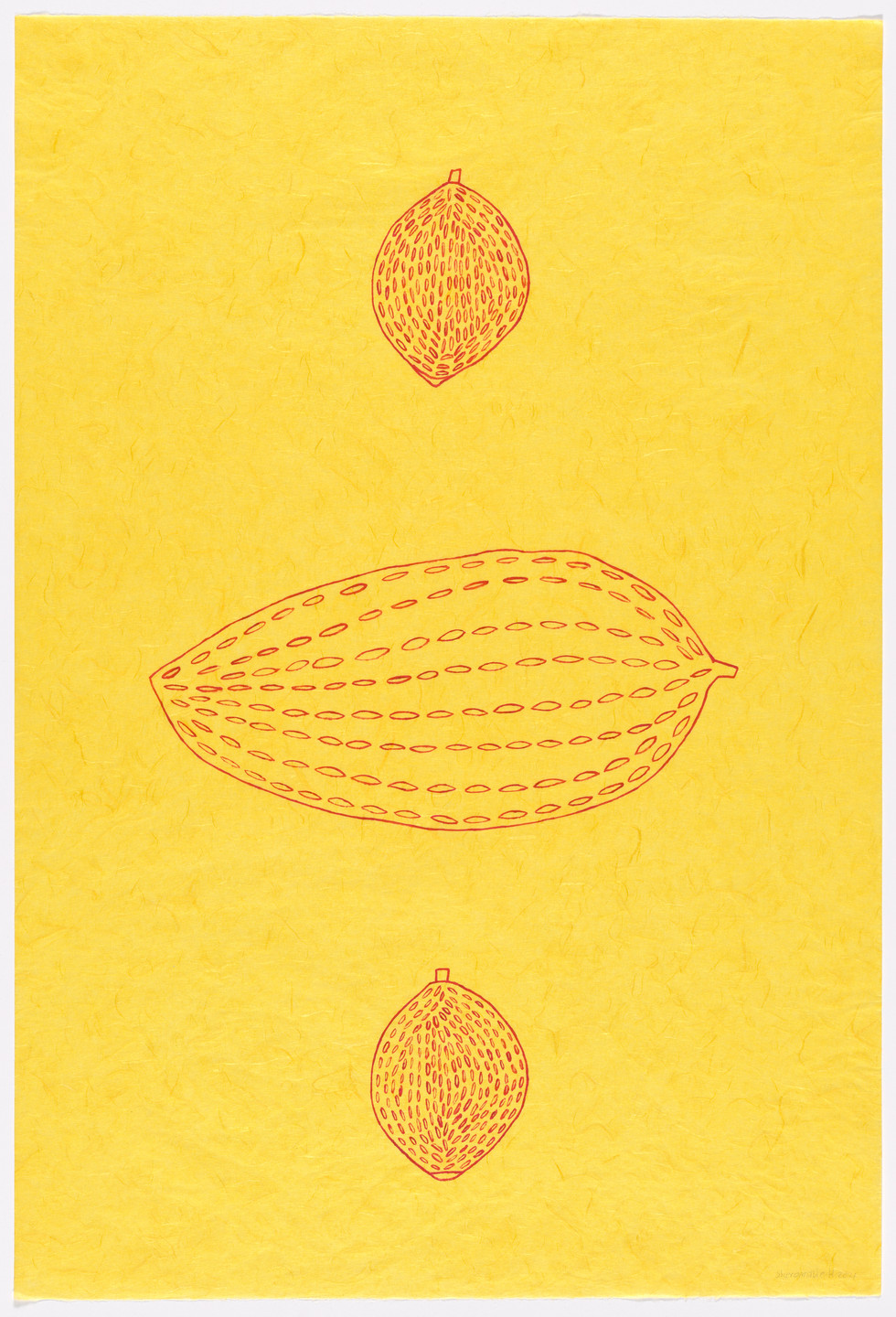 Sheroanawe Hakihiiwe. Cacao (Pohoroa ana si). 2021