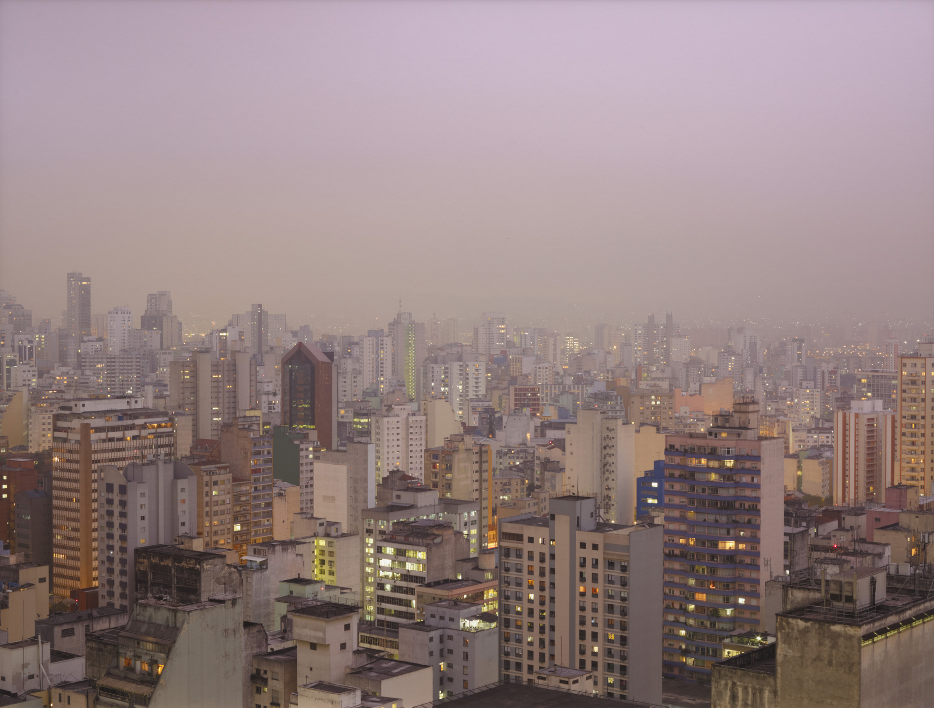 Suwon Lee. Purple Haze. 2011