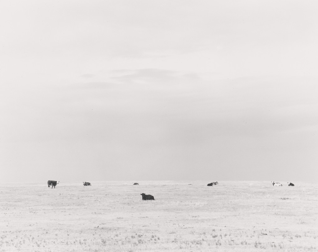 North of Briggsdale, Colorado