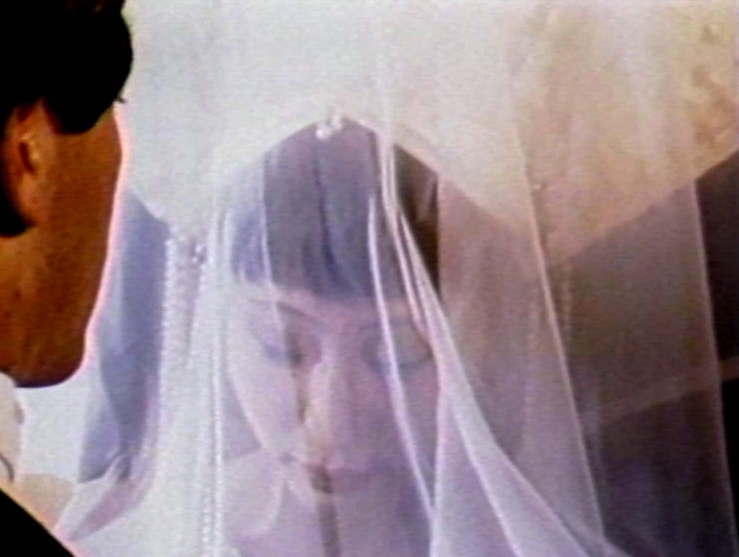 Bruce Yonemoto, Norman Yonemoto. Green Card: An American Romance. 1982