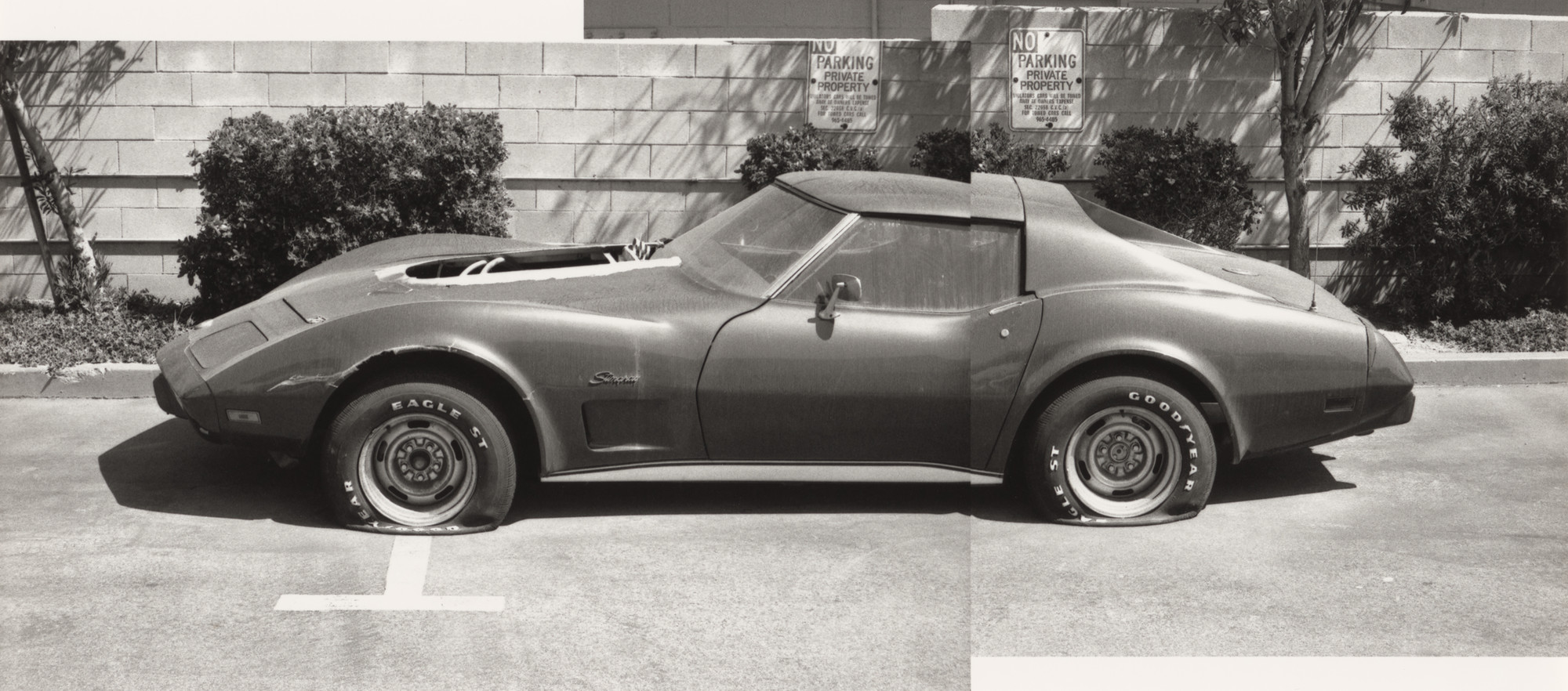 Ed Templeton, Deanna Templeton. Huntington Beach (Abandoned Car Joiner)