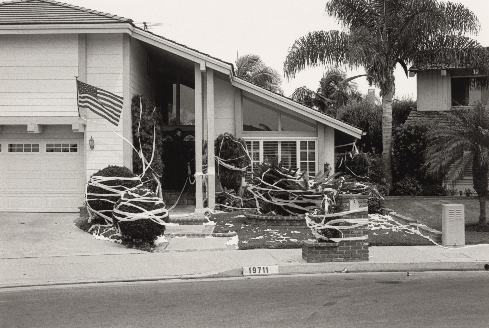 Ed Templeton, Deanna Templeton. Toilet papered house, Suburbia