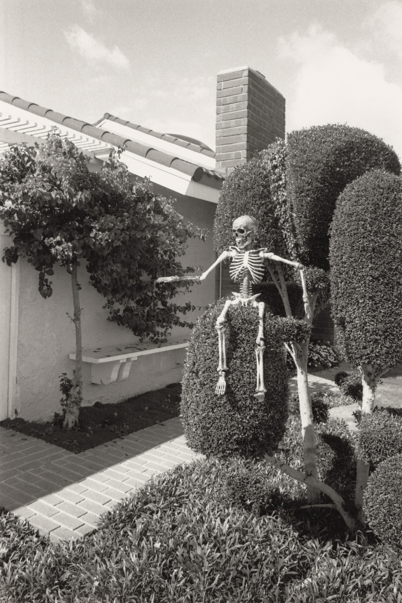 Ed Templeton, Deanna Templeton. Huntington Beach (Skeleton)