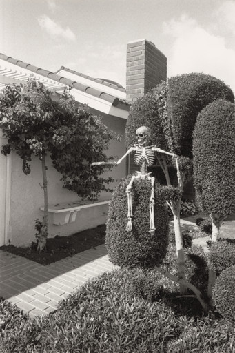 Huntington Beach (Skeleton)