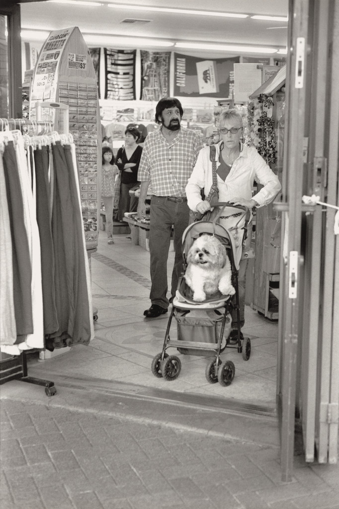 Huntington Beach (Dog in stroller)