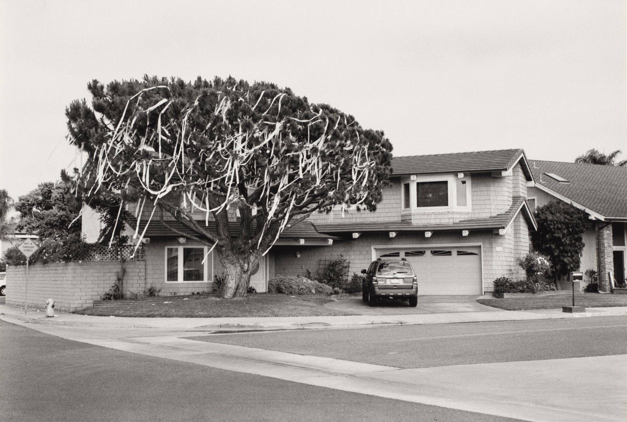 Ed Templeton, Deanna Templeton. Huntington Beach (TP'd House