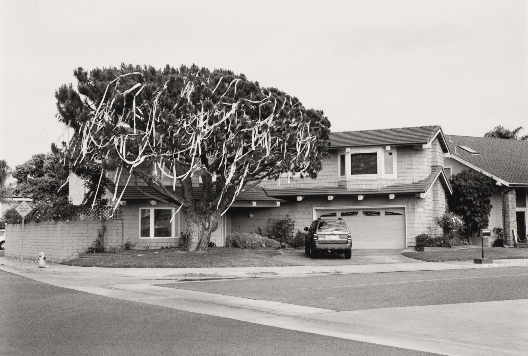 Ed Templeton, Deanna Templeton. Huntington Beach (TP'd House