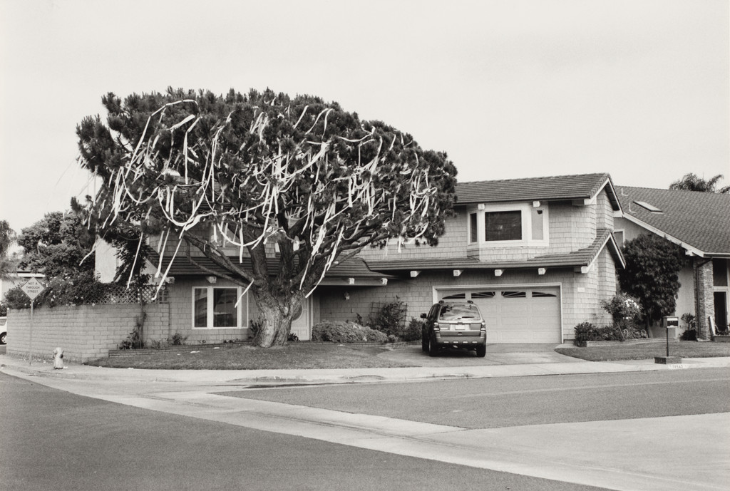 Huntington Beach (TP'd House)