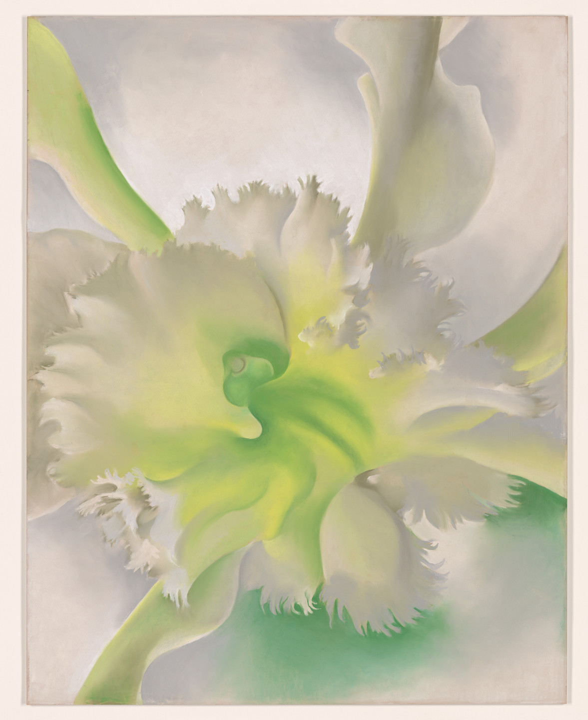 Georgia O&#39;Keeffe. An Orchid. 1941