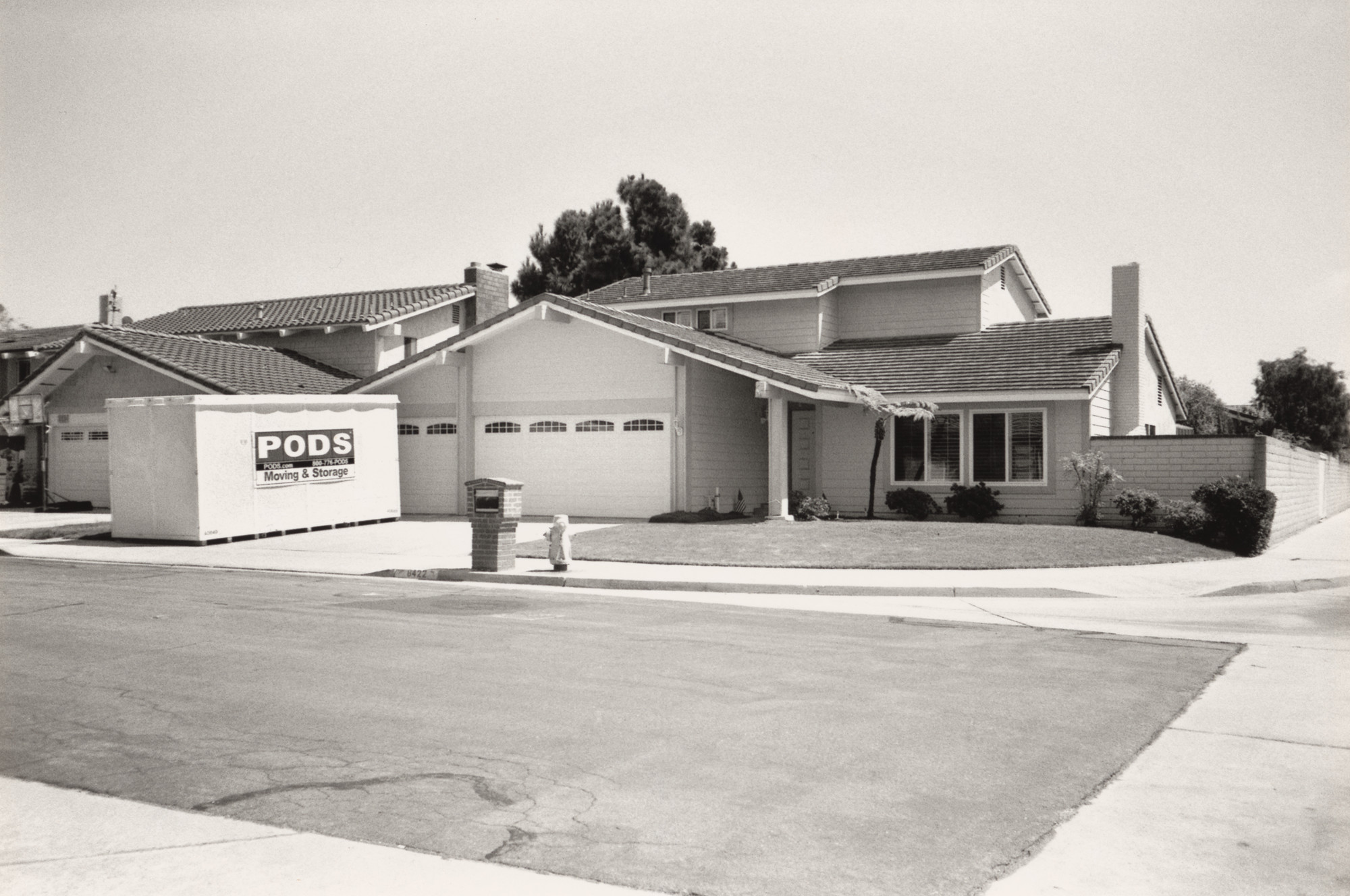 Ed Templeton, Deanna Templeton. Untitled (Pods)