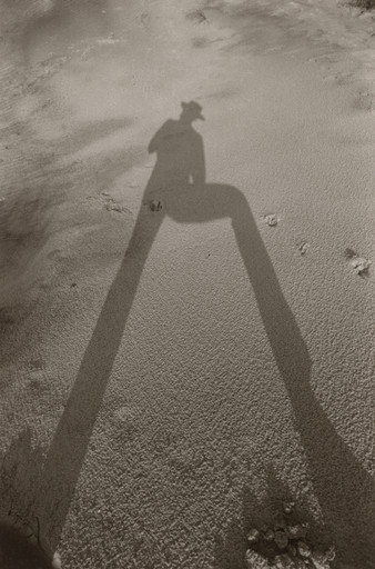 Fire Island Shadow