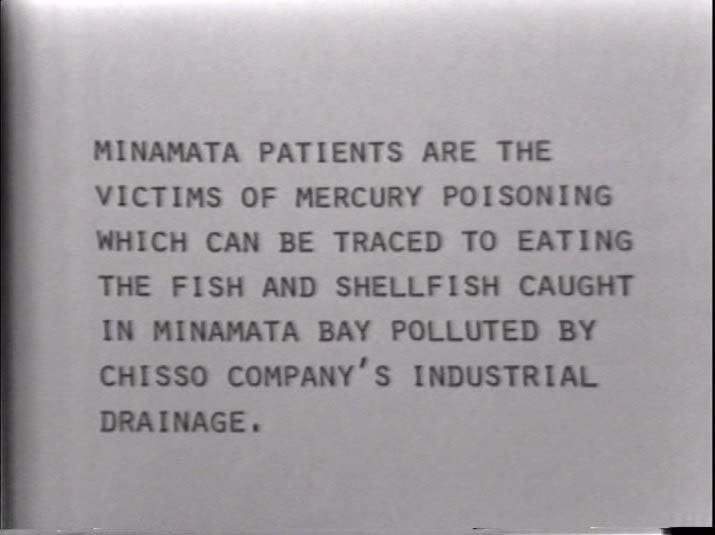 Fujiko Nakaya. Friends of Minamata Victims - Video Diary