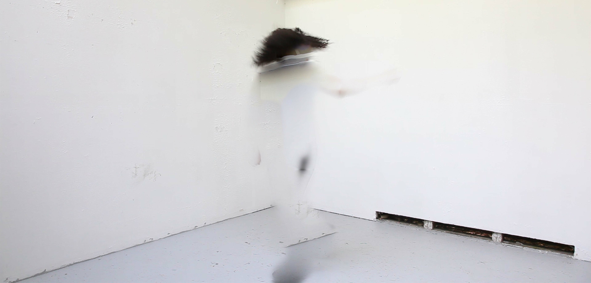 Sondra Perry. Double Quadruple Etcetera Etcetera I & II. 2013