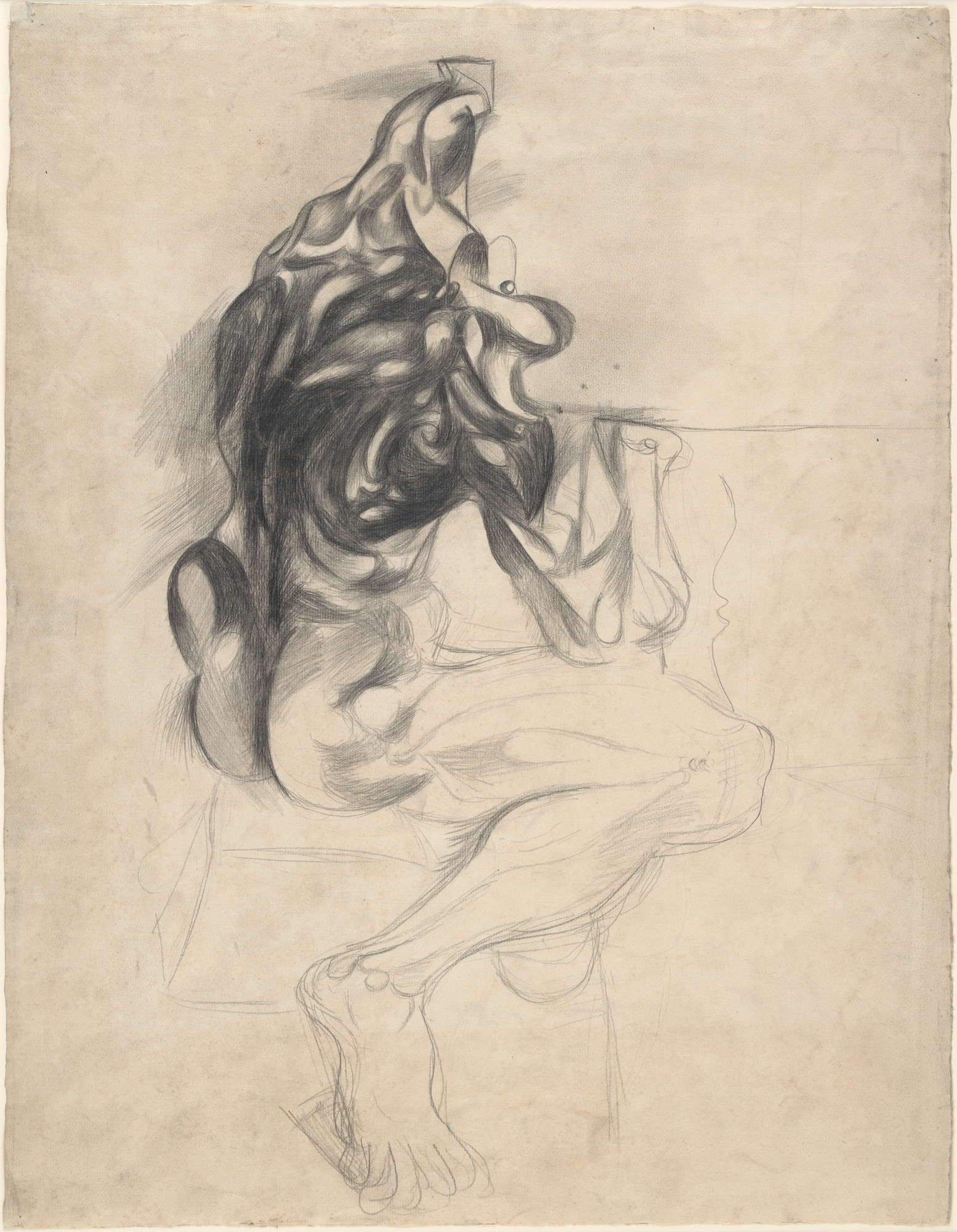 Arshile Gorky. Untitled (Écorché, After Pierre Puget)