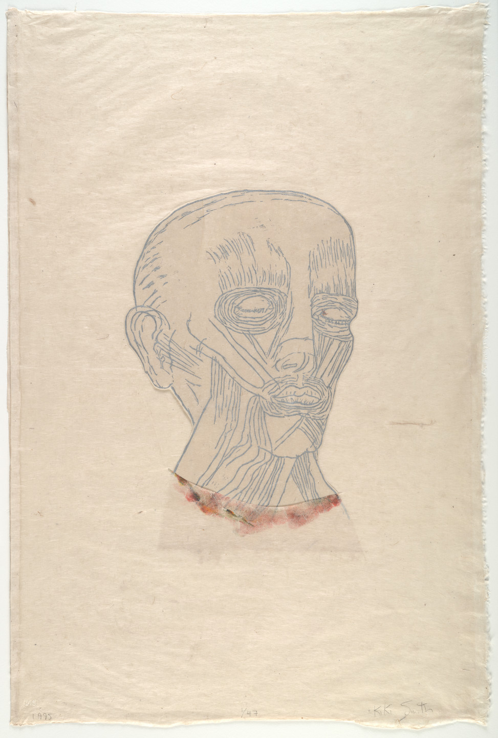Kiki Smith. Untitled. 1995