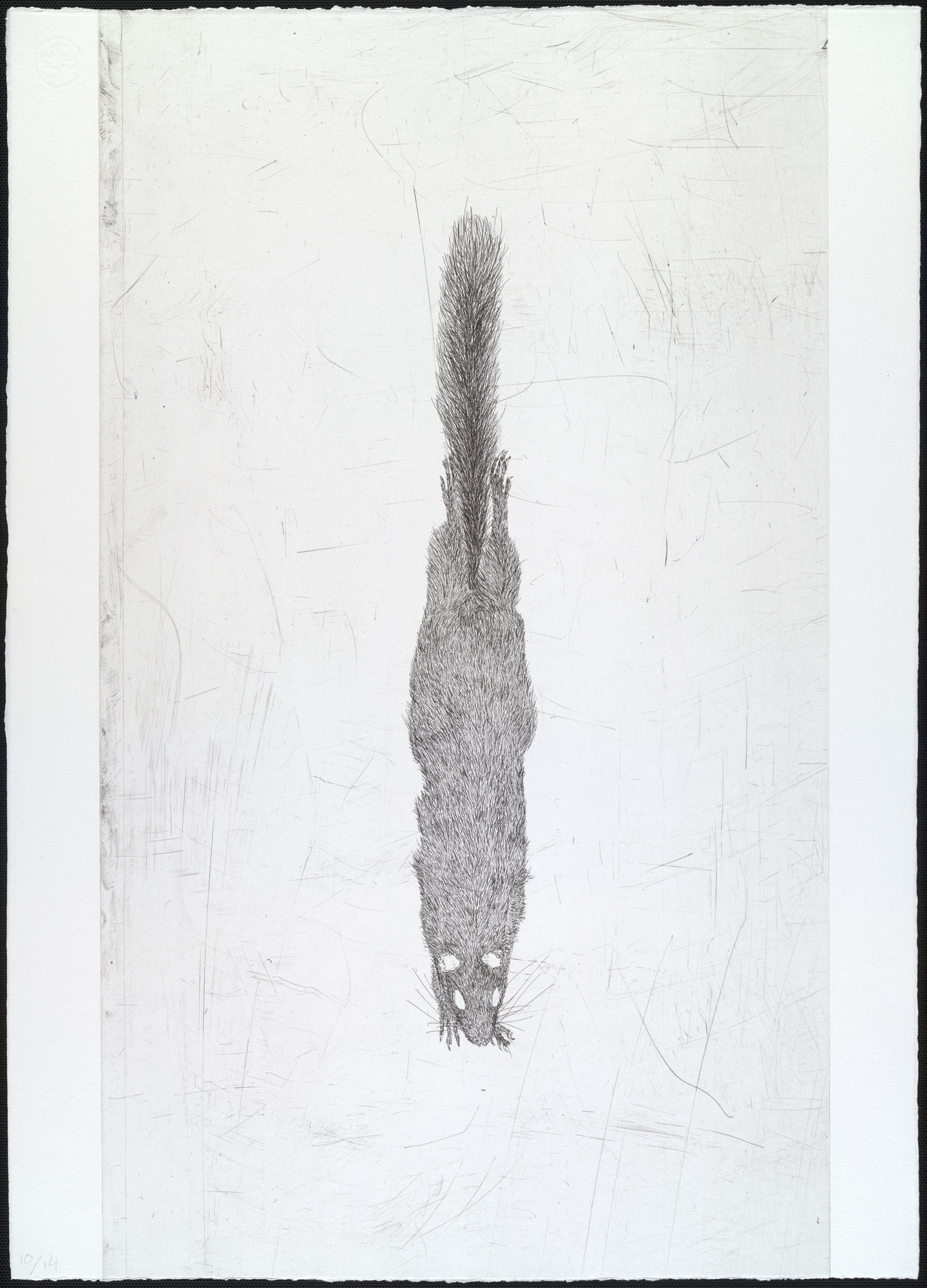 Kiki Smith. Untitled from White Mammals