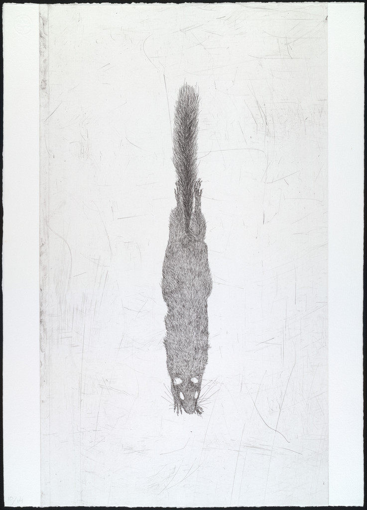 Untitled from White Mammals