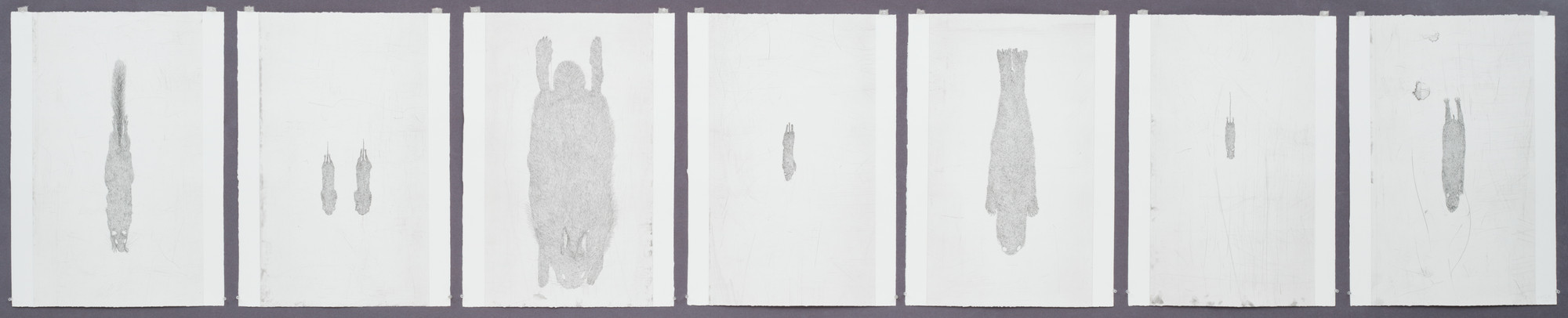 Kiki Smith. White Mammals. 1998