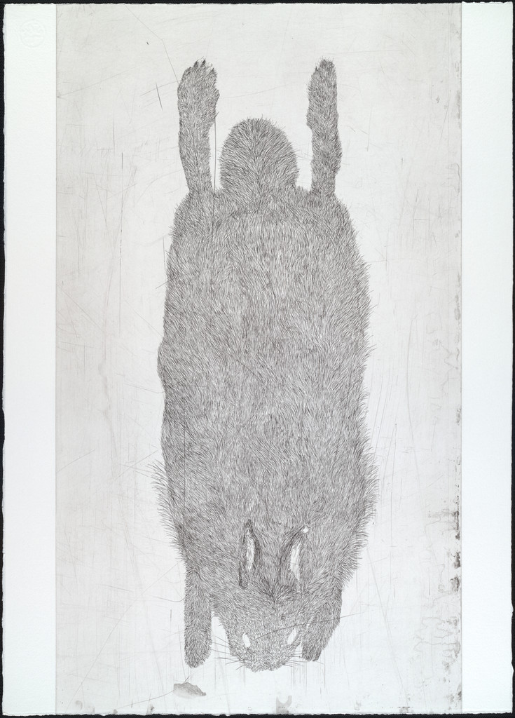 Untitled from White Mammals