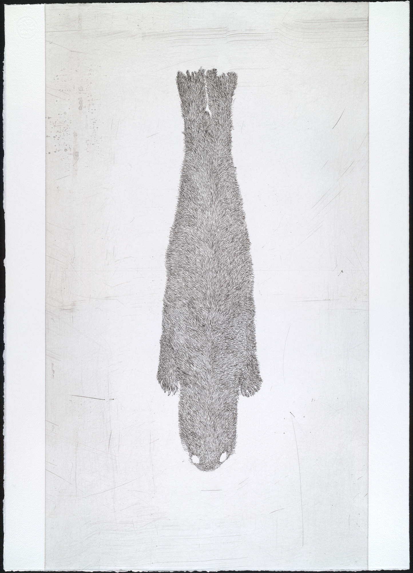 Kiki Smith. Untitled from White Mammals
