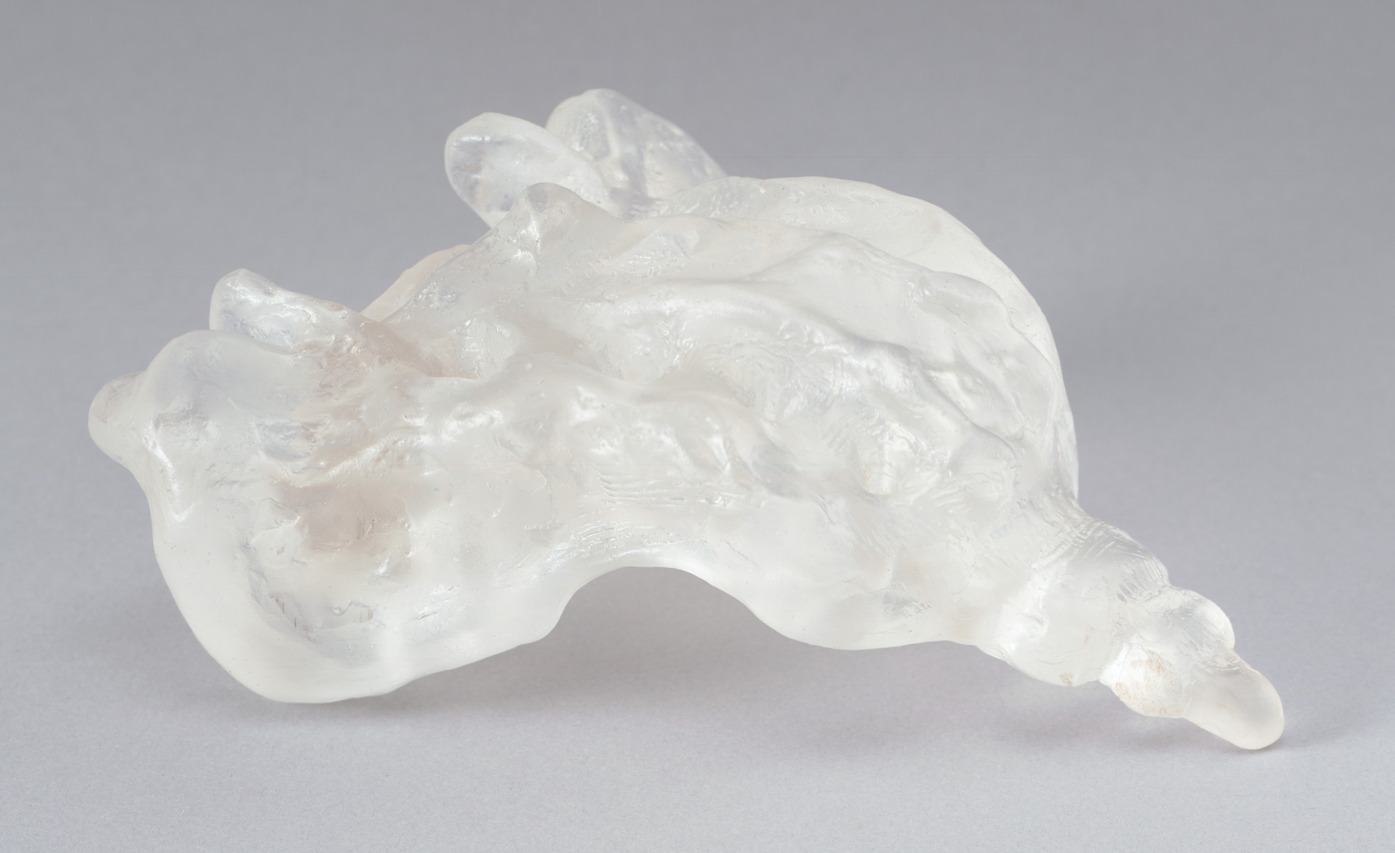 Kiki Smith. Tail. 1997