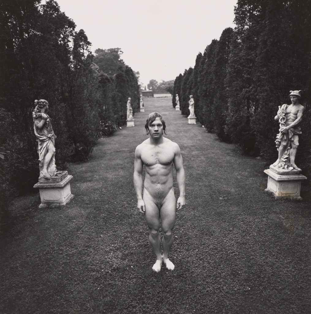 Hermaphrodite between Venus and Mercury, East Hampton, N.Y.