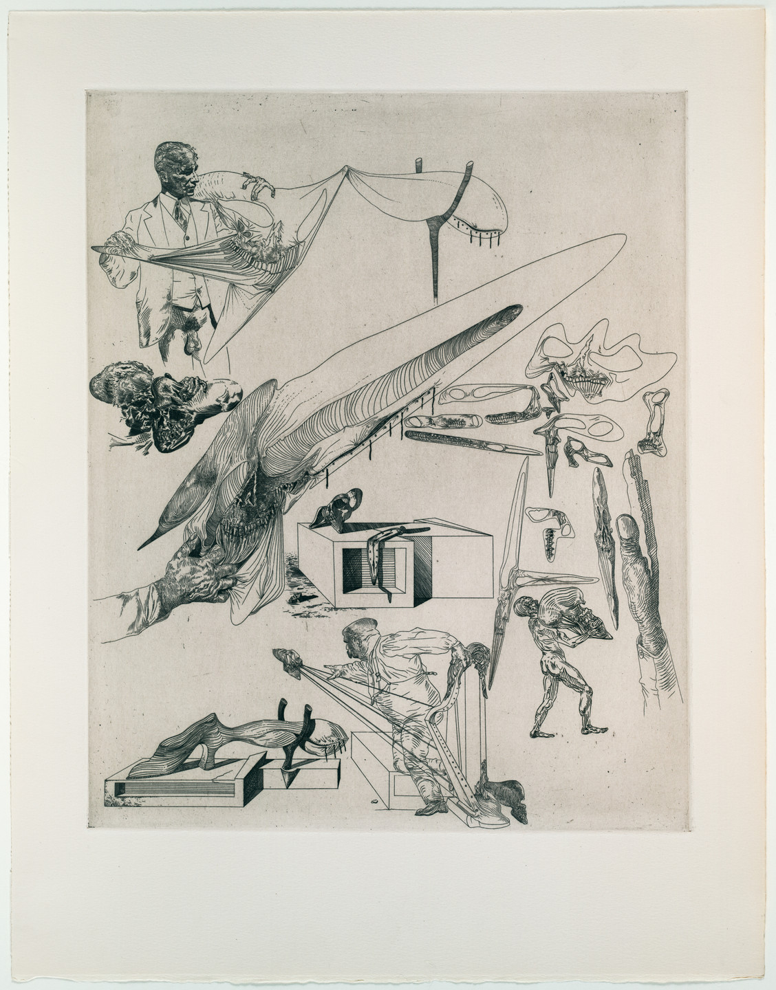 Salvador Dalí. Limp Cranes and &#34;Cranian&#34; Harp. 1935