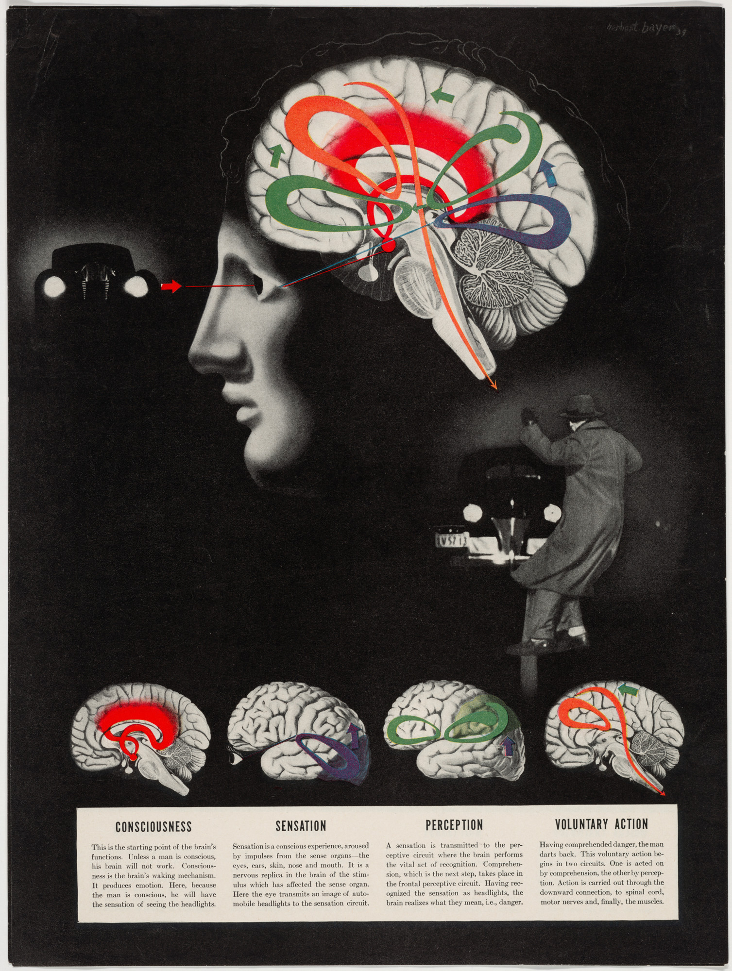 Herbert Bayer. Consciousness, Sensation, Perception, Voluntary Action