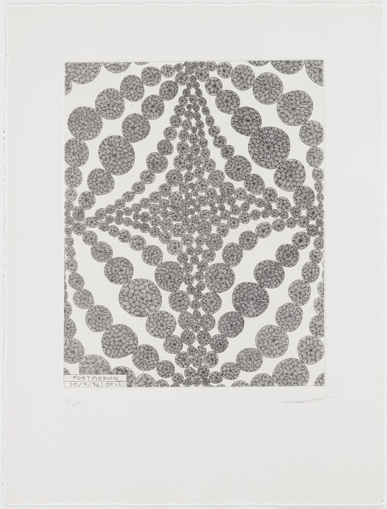 Portmeirion from North Wales