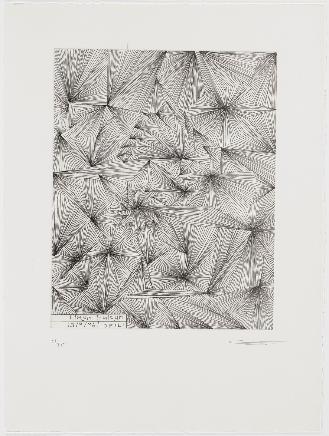 Chris Ofili. Llwyn Hwleyn from North Wales. 1996