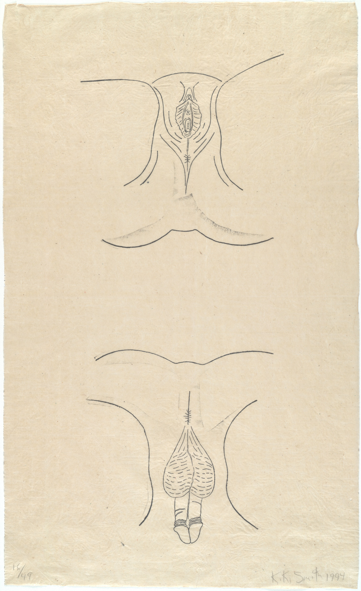 Kiki Smith. Urogenitals