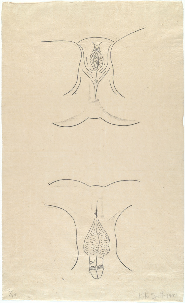 Urogenitals, Kiki Smith, 1994