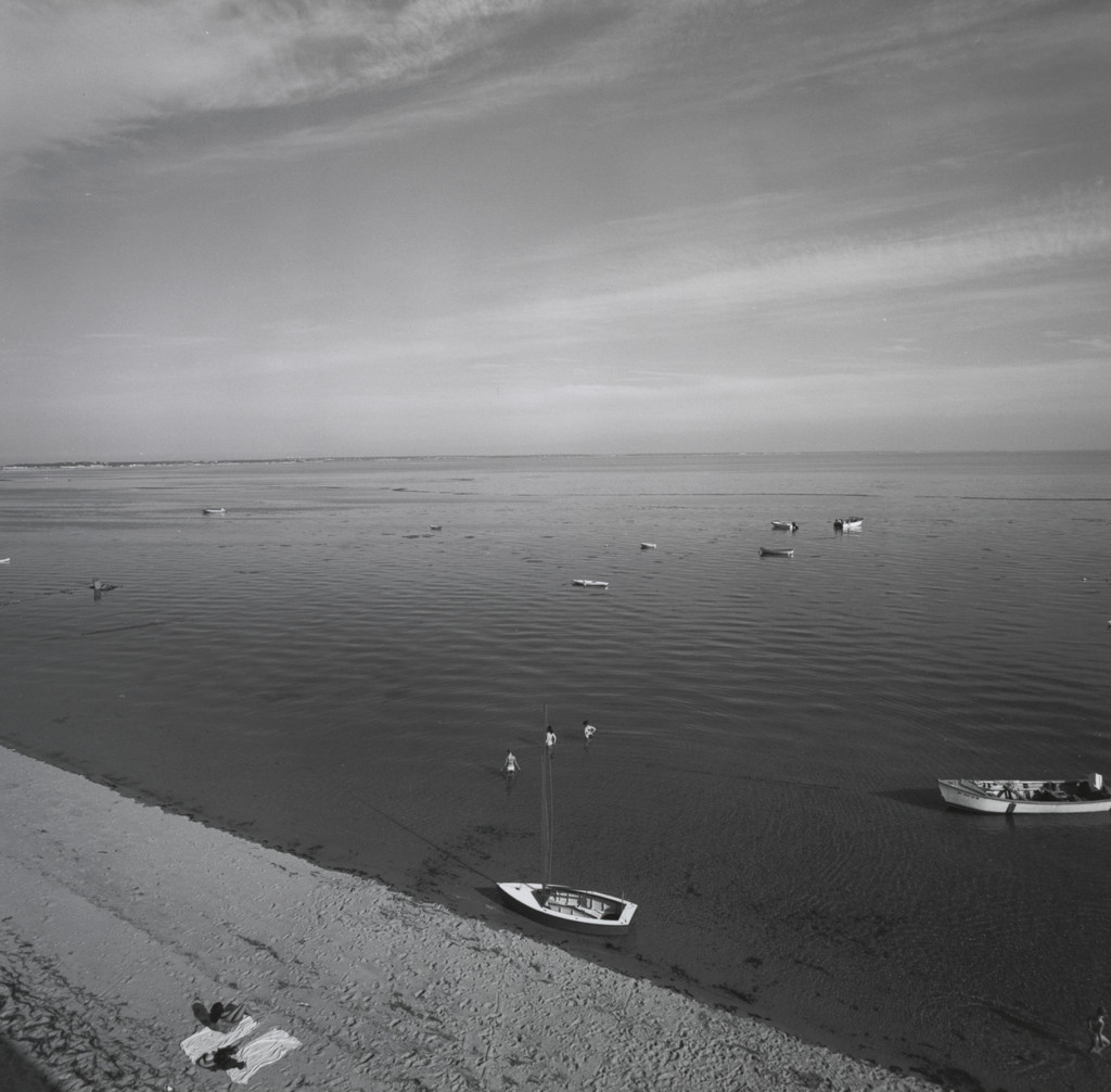 Cape Cod