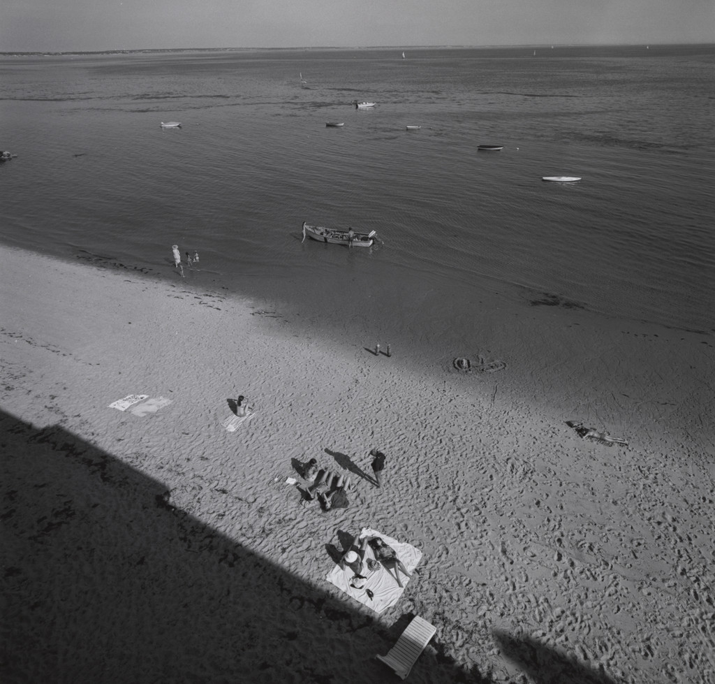 Cape Cod