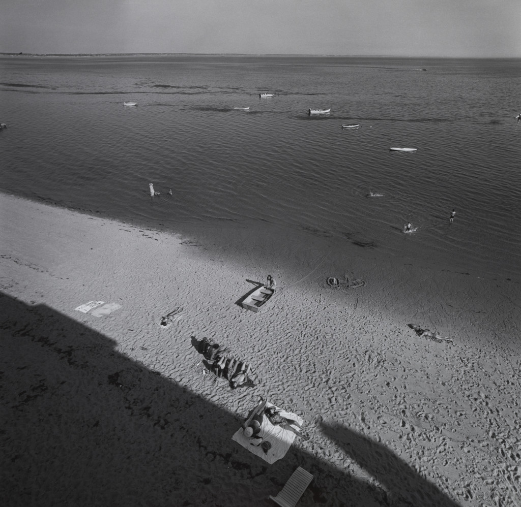 Cape Cod