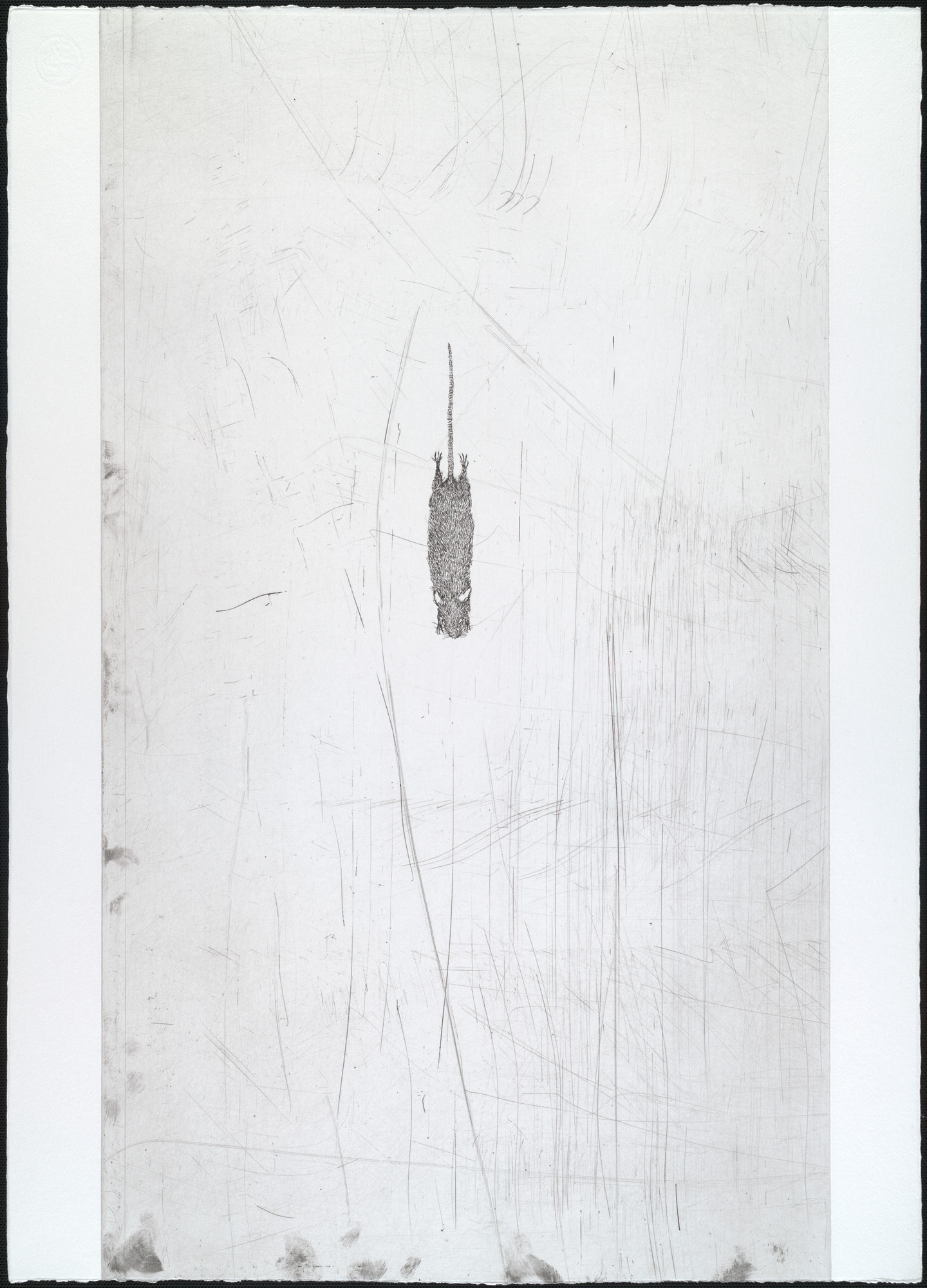 Kiki Smith. Untitled from White Mammals