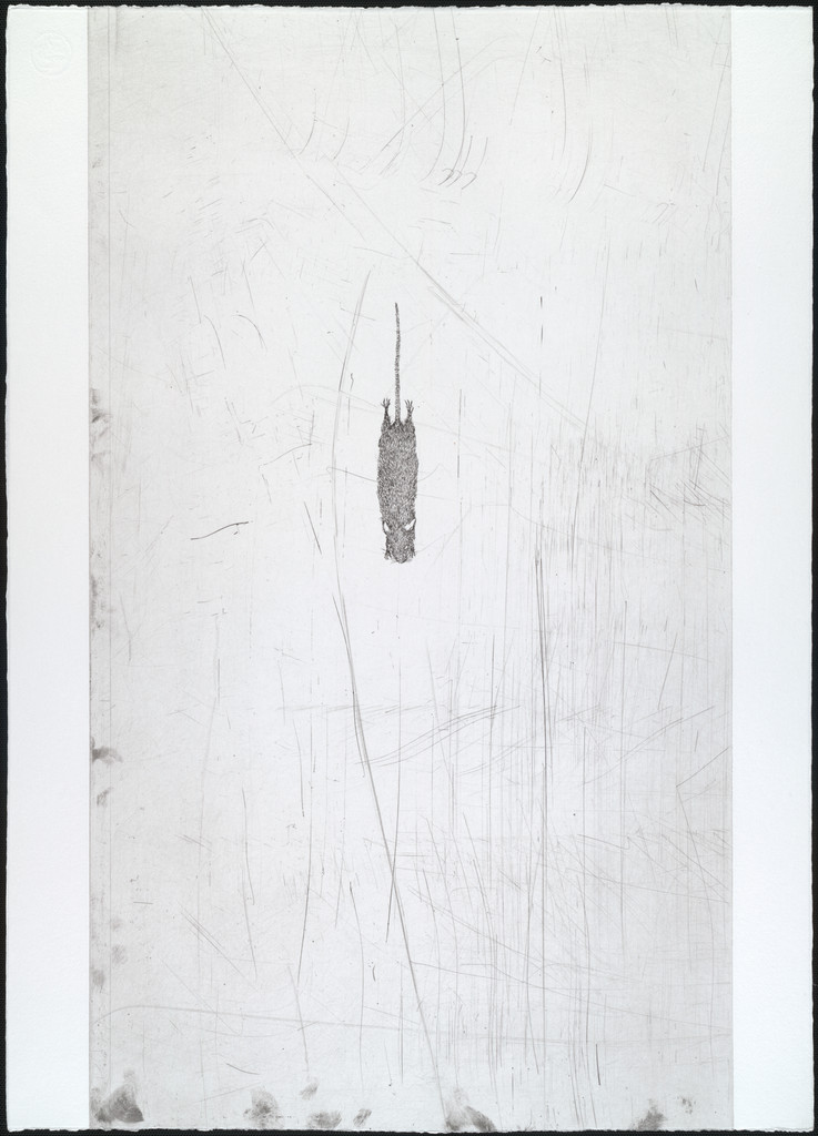 Untitled from White Mammals, Kiki Smith, 1998